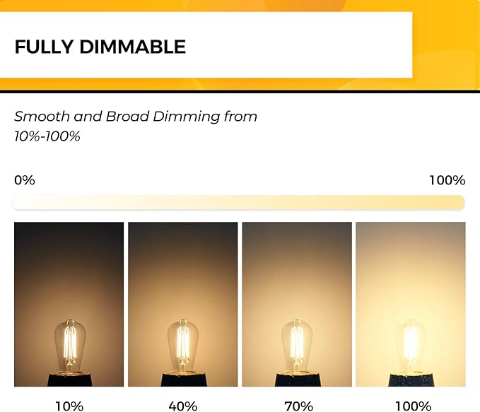Hizashi Vintage Edison Bulb Dimmable, 6W Equivalent 60W, E26 Base LED Light B...