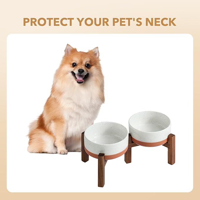 Ceramic 6.1inch Raised Double Dog Bowls Set