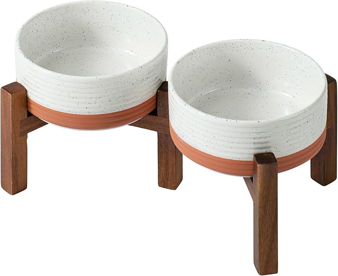 Ceramic 6.1inch Raised Double Dog Bowls Set