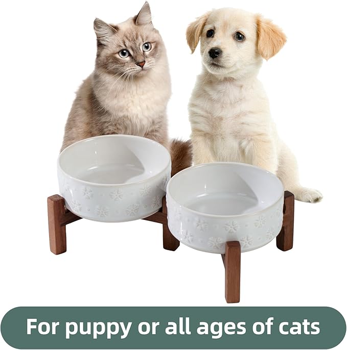 Ceramic 5.1inch Raised Double Bowls Set