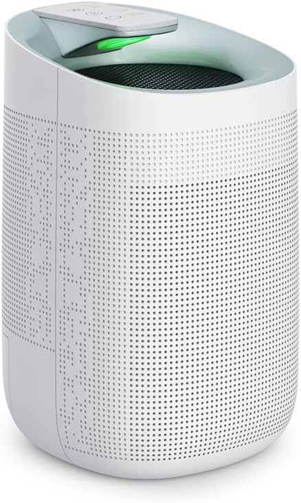 1000ml Dehumidifier w/Air Purifying Function