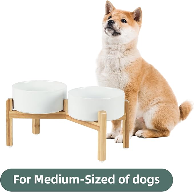 Ceramic Raised Double Bowls Set