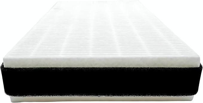 Nispira F1 C01 T02 HEPA Replacement Filter (4 Pack)