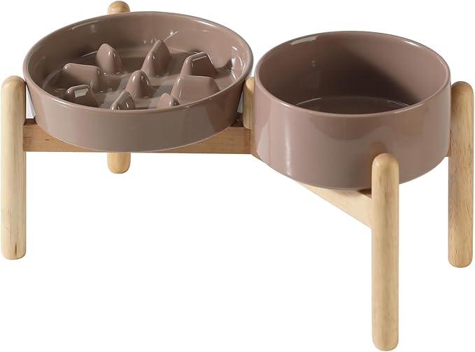 Ceramic 1.2 Cup Raised Slow Feeder Dog Bowl Set, Elevated 6.1inch Bowl and