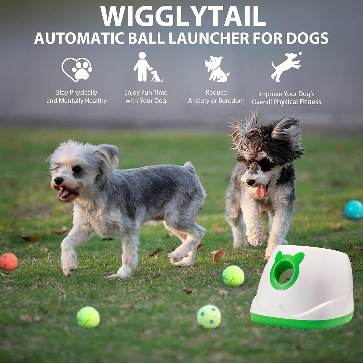 Automatic Dog Ball Launche with 9 Balls (2 inches)