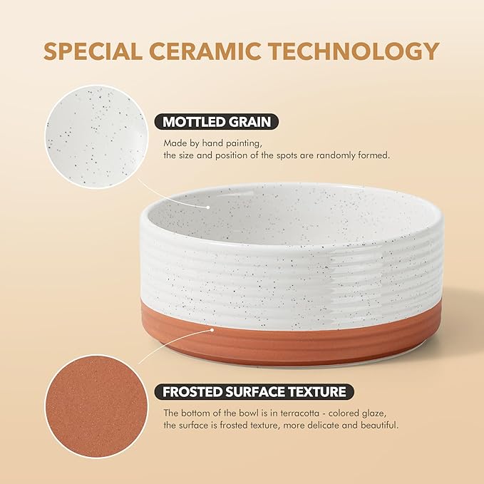 Ceramic 6.1inch Raised Double Dog Bowls Set