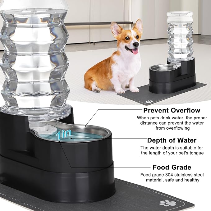 RIZZARI Large Water Dispenser for Dogs: 8L Raised Black Auto-Refill Stainless