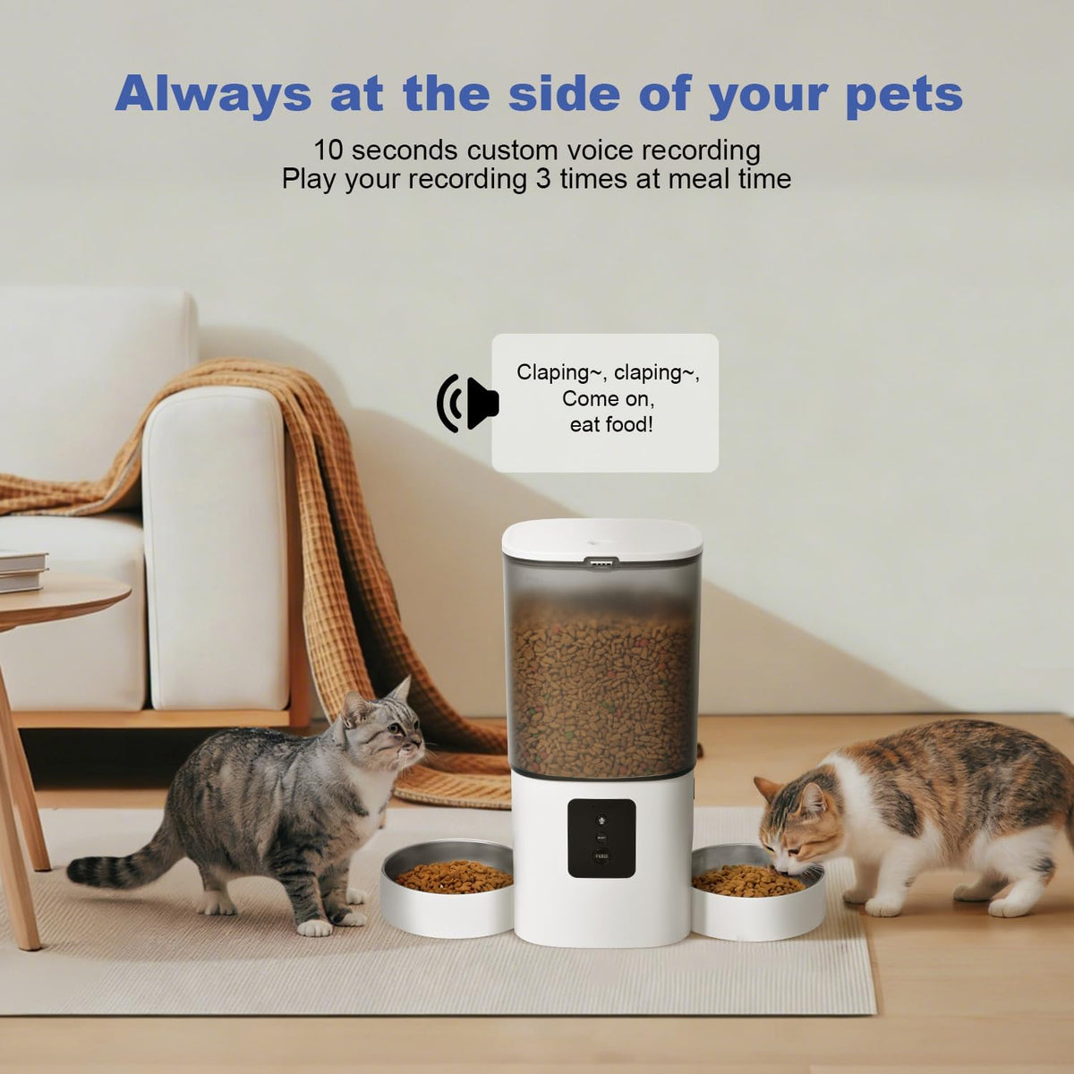6L Automatic Cat Feeder, 2 Pets Timed Cat Dry Food Dispenser