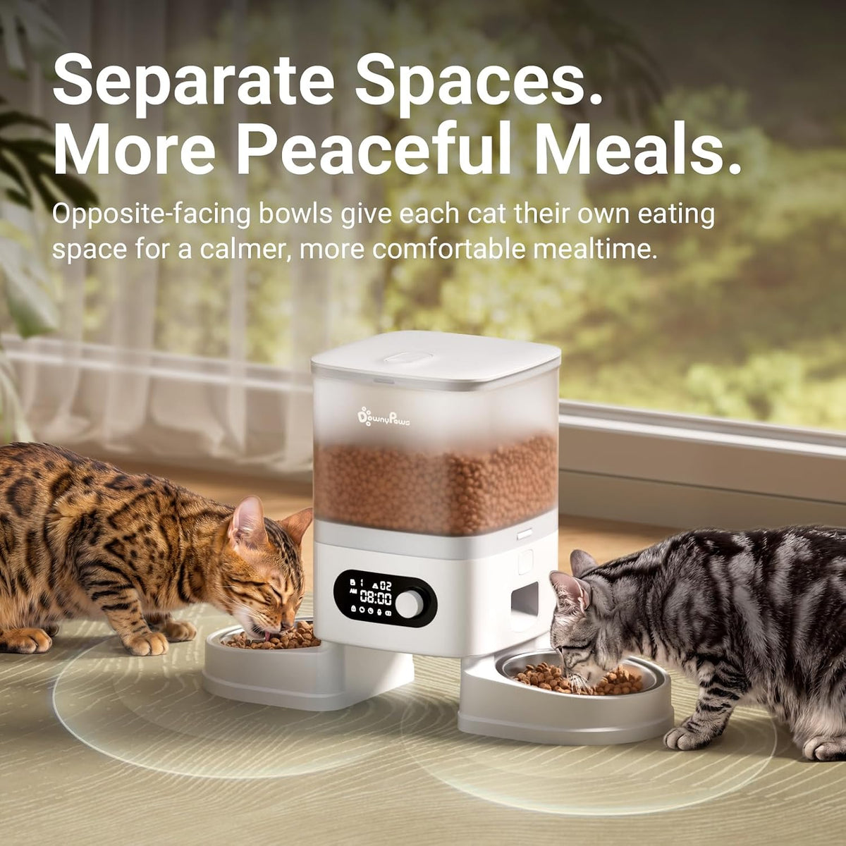 DownyPaws Automatic Cat Feeder 2 Cats, Rechargeable Timed Food Dispenser WH