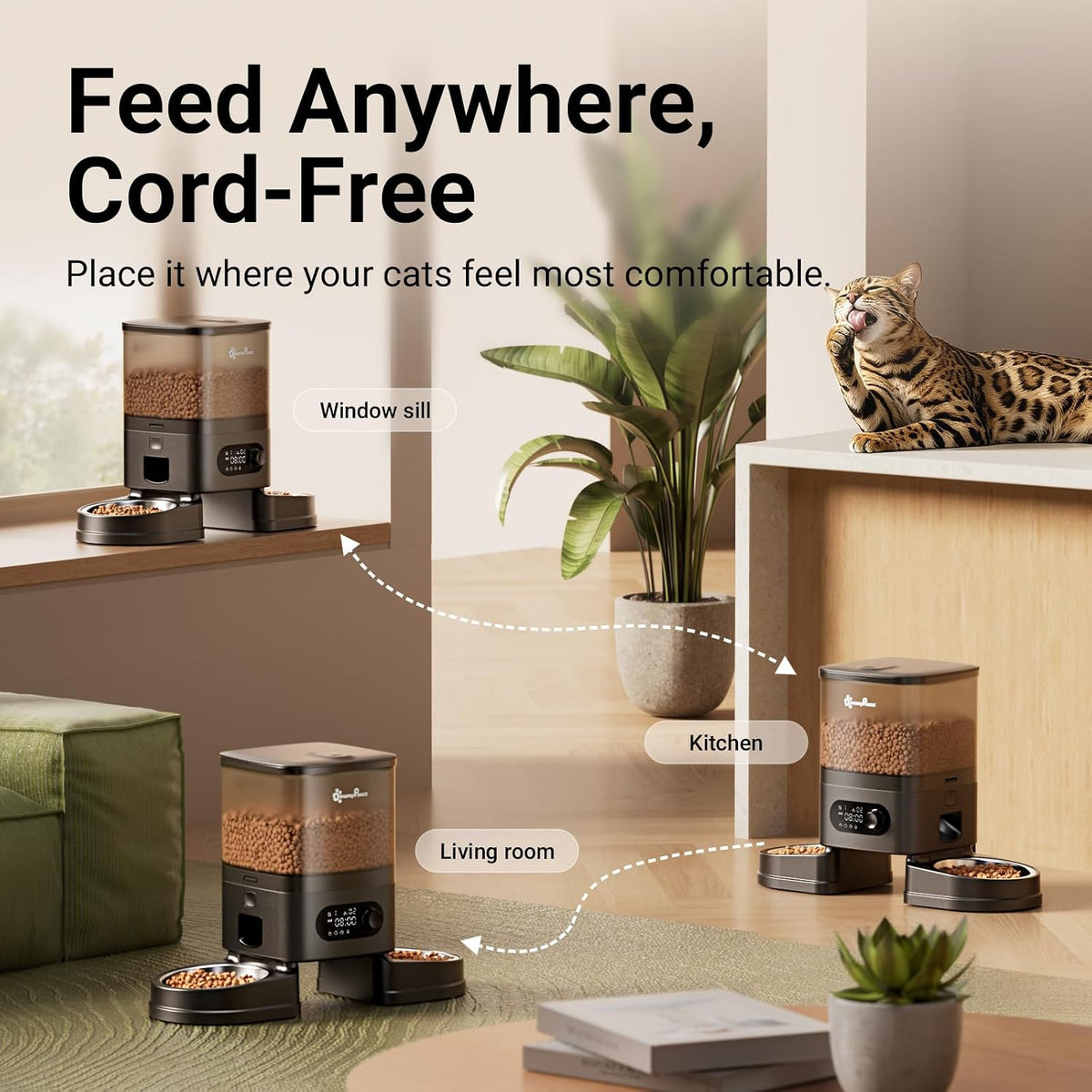 DownyPaws Automatic Cat Feeder 2 Cats, Rechargeable Timed Food Dispenser BK