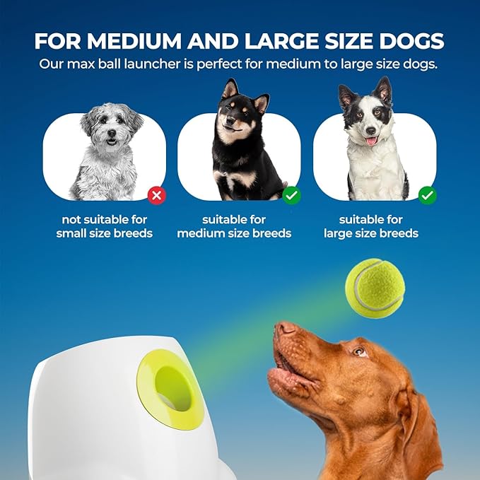 ALL FOR PAWS Automatic Dog Ball Launcher for Medium to Large Dogs, Interactive