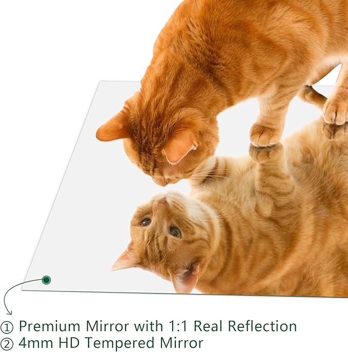 Mirrorons Frameless Wall Mirror 18" x 24", Modern Rectangle Bathroo...