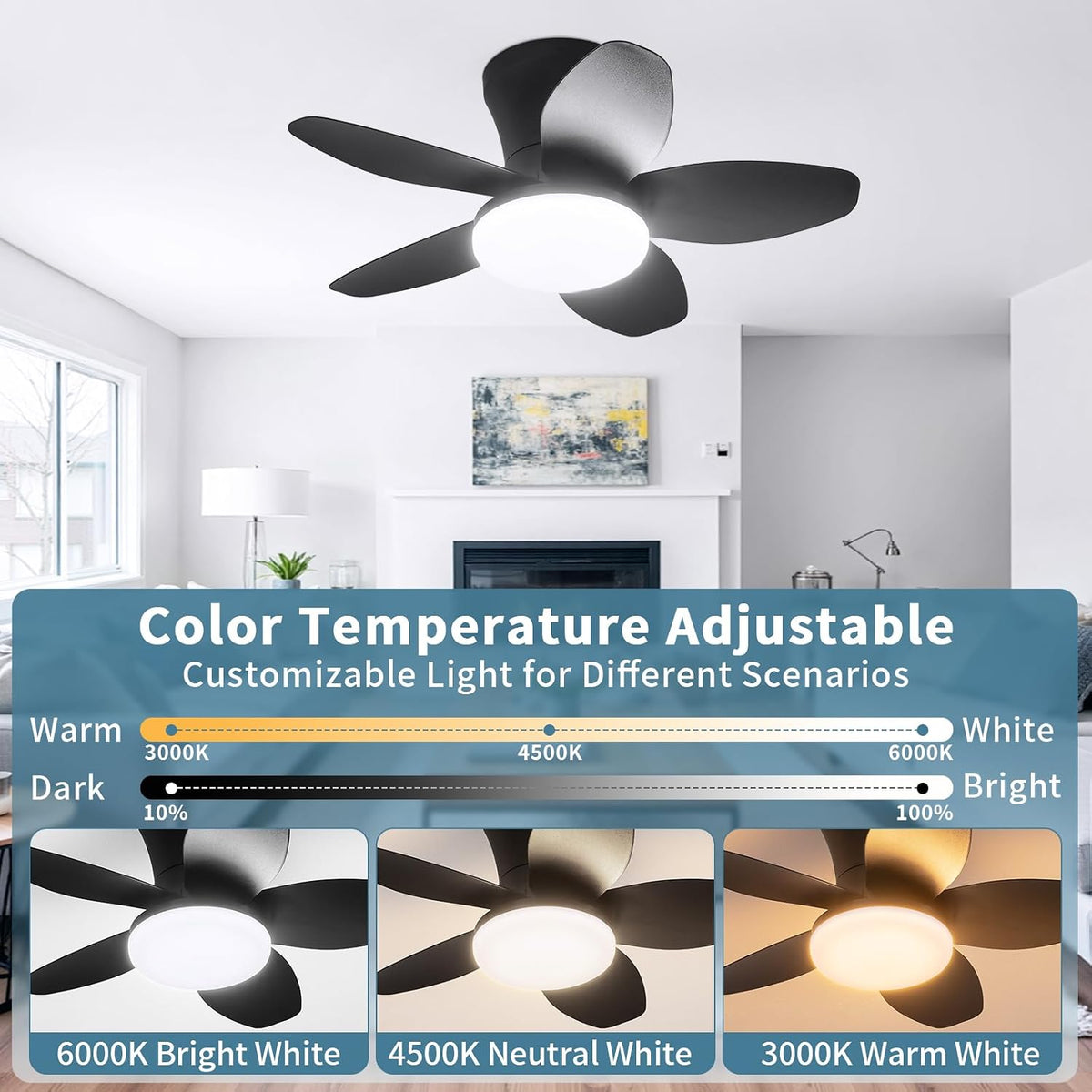 Small Ceiling Fan with Lights, 25inch 5 Blades Flush Mount with Remote