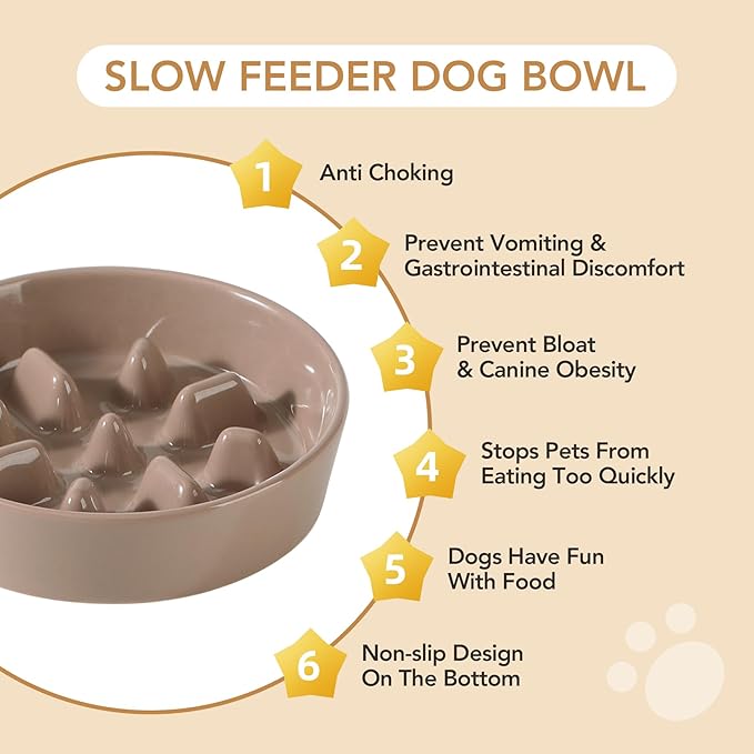 Ceramic 1.2 Cup Raised Slow Feeder Dog Bowl Set, Elevated 6.1inch Bowl and