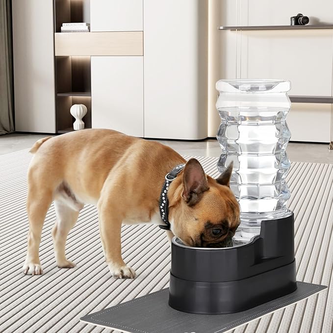 RIZZARI Large Water Dispenser for Dogs: 8L Raised Black Auto-Refill Stainless