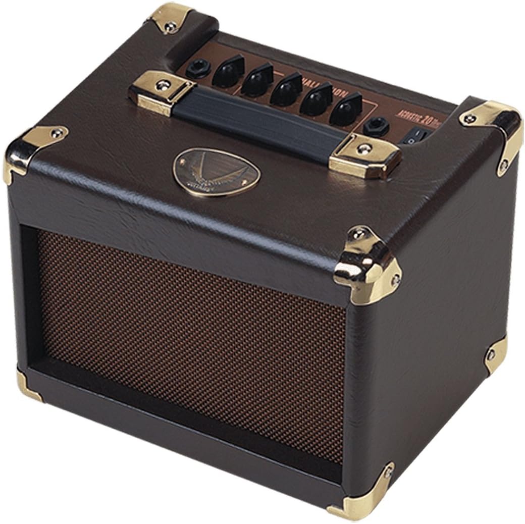 Dean DA20 Acoustic Guitar Amp - 20W