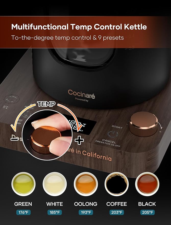 Electric Tea Kettle, INTASTING Glass Electric Kettle