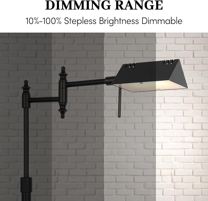 Bairth Dimmable Pharmacy Floor Lamp