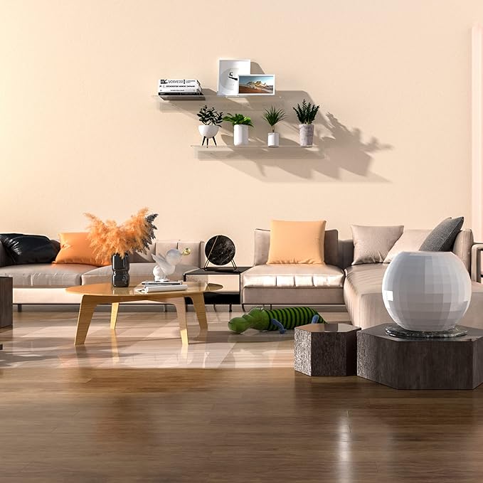 Acrylic Wall Shelves 36 24 12 Inches, Wall Mounted Display Shelves
