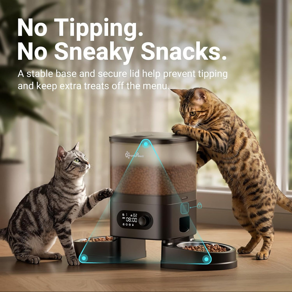 DownyPaws Automatic Cat Feeder 2 Cats, Rechargeable Timed Food Dispenser BK