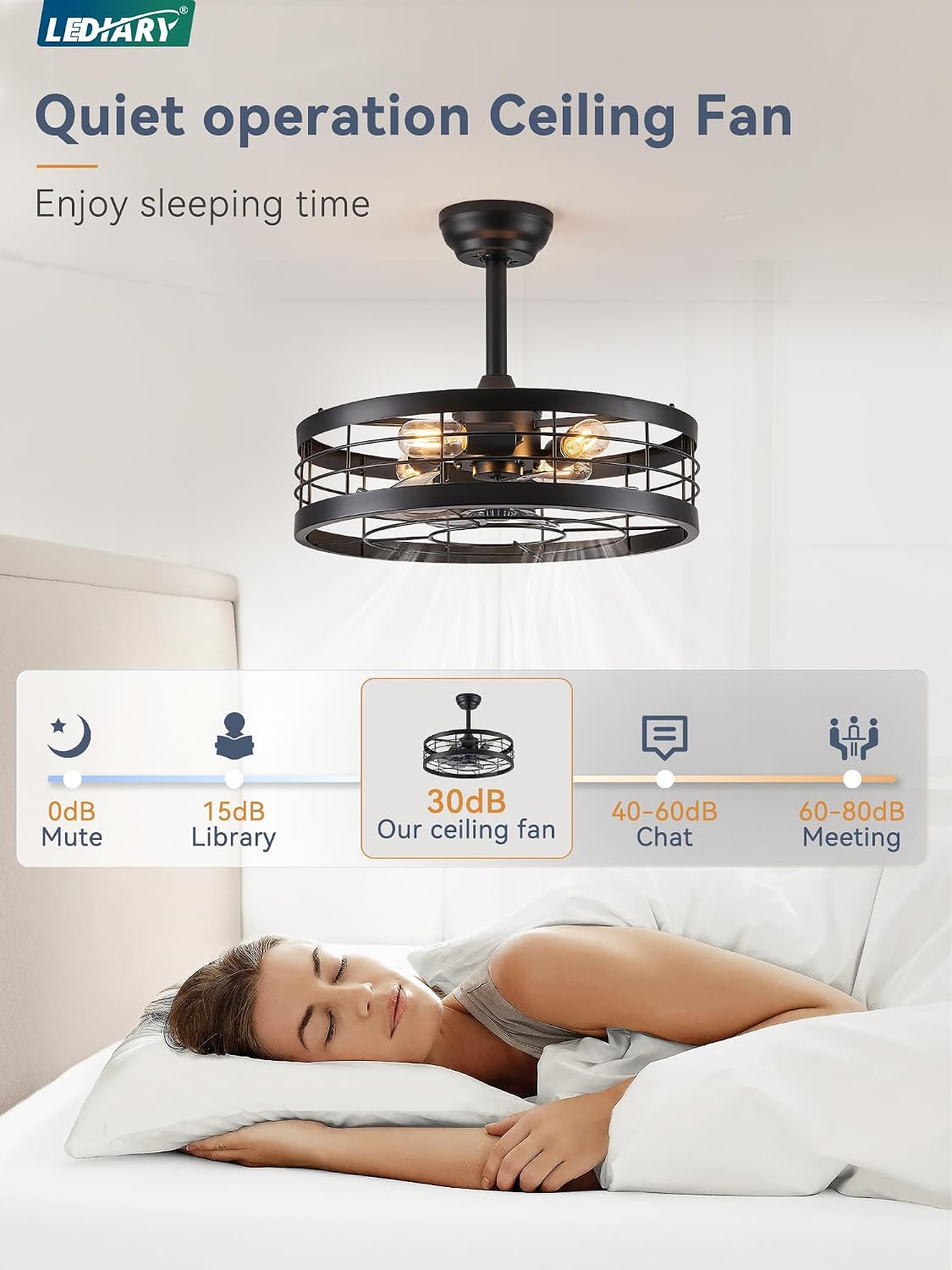 LEDIARY 20 inch Fandelier Caged Ceiling Fan with Light and Remote, Black