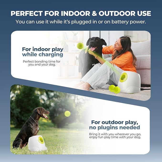 ALL FOR PAWS Automatic Dog Ball Launcher for Medium to Large Dogs, Interactive