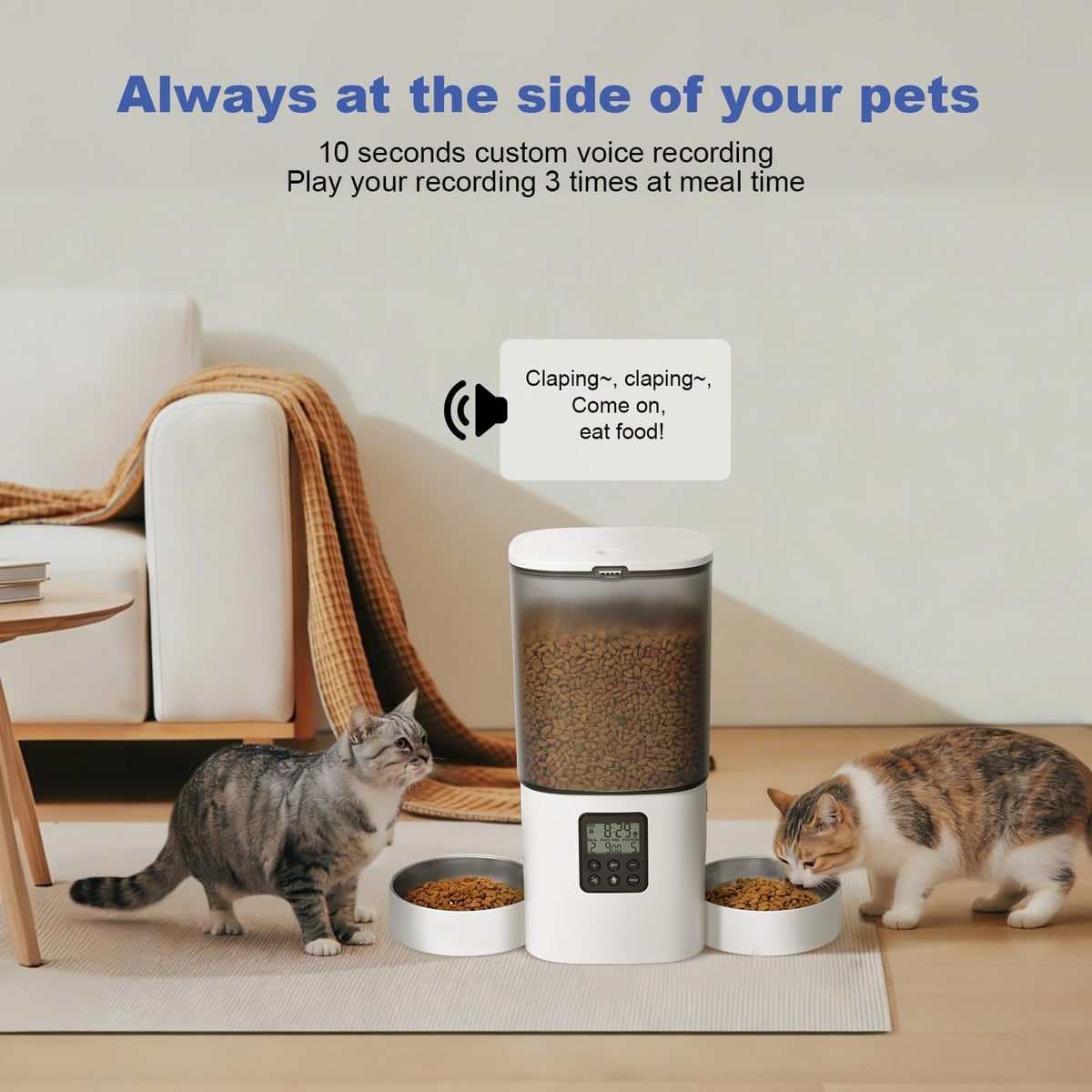 6L Automatic Cat Feeder, 2 Pets Timed Cat Dry Food Dispenser