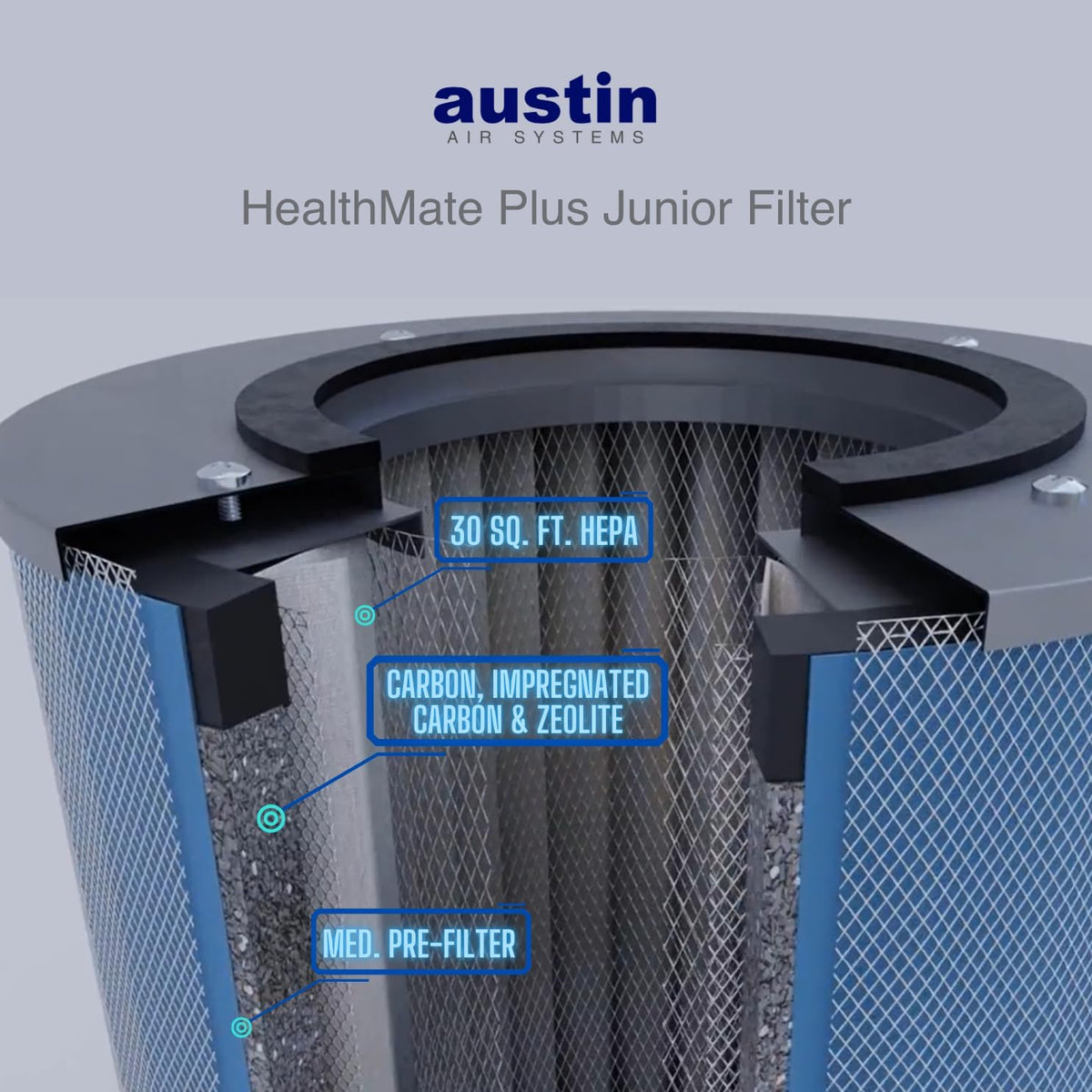 Austin Air HealthMate Plus Junior Air Purifier, Black, Model A250
