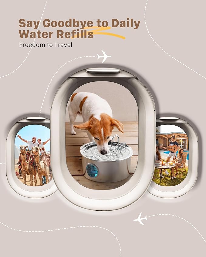 Dog Water Fountain for Large Dogs: Big Cat Water Fountain Stainless Steel