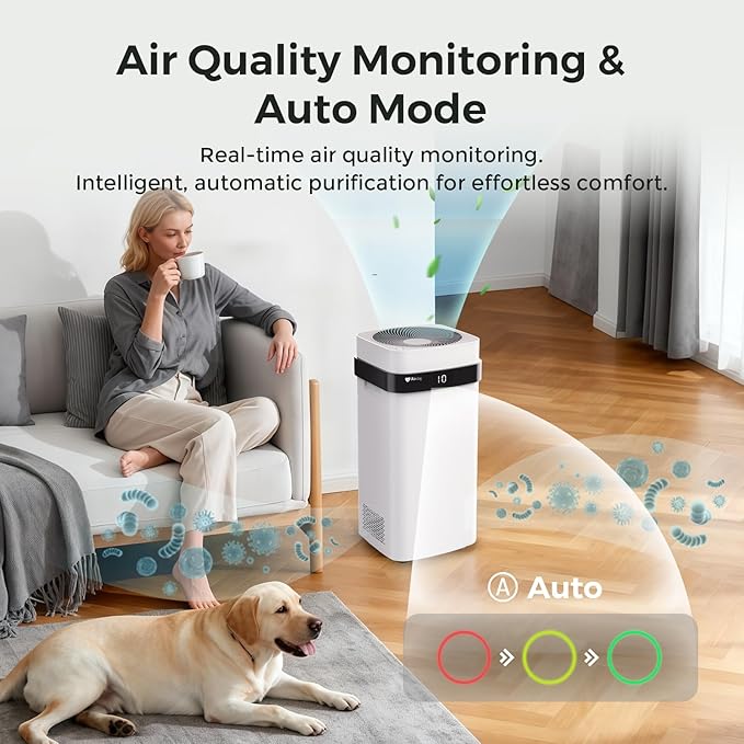 Airdog Air Purifier for Homes