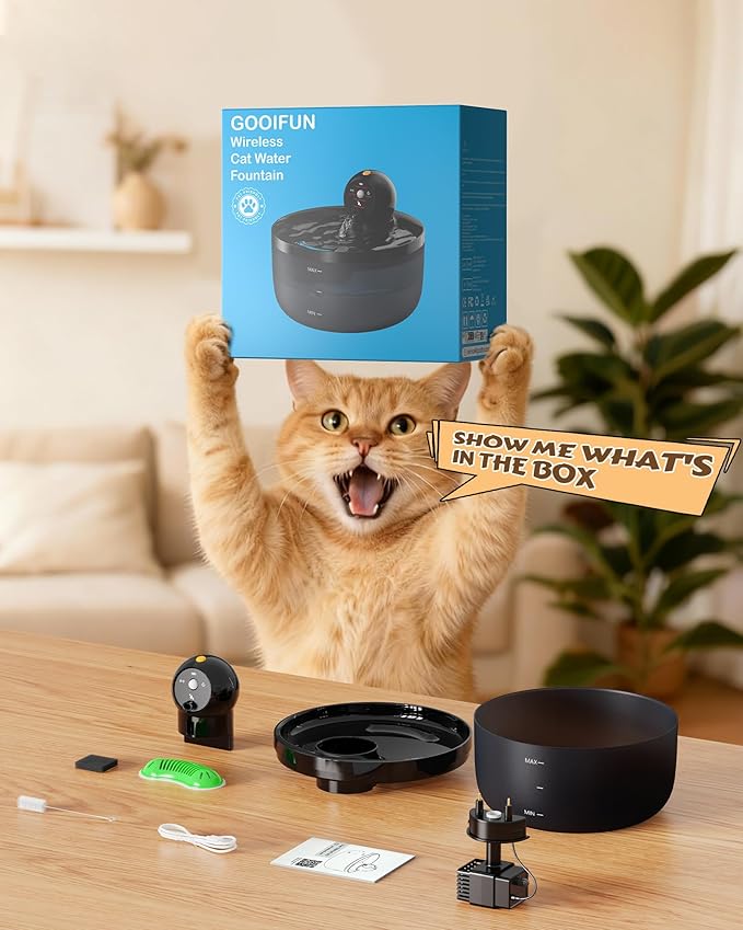 Cat Water Fountain Wireless Cordless: Cat Fountain