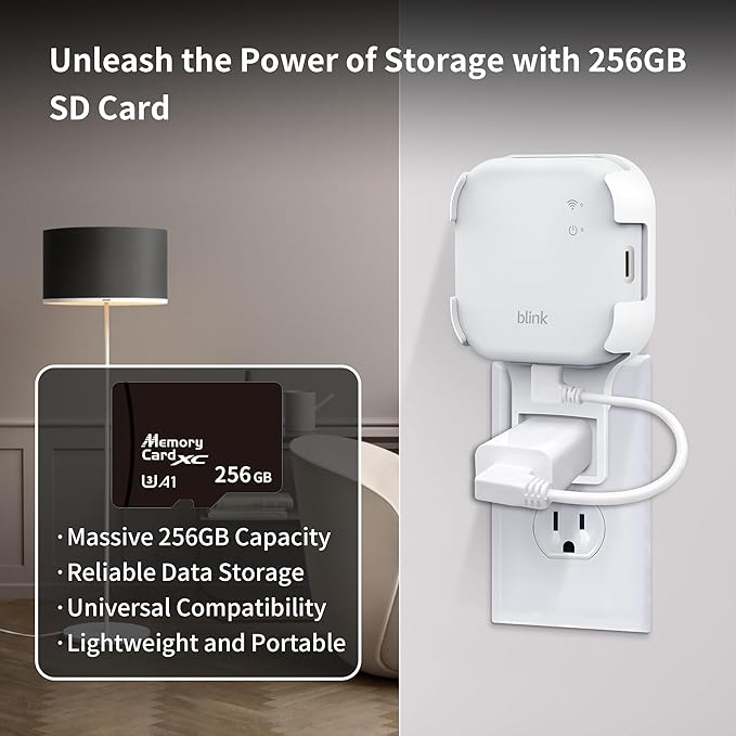 256GB MicroSD Card & Wall Mount (2 Pack)