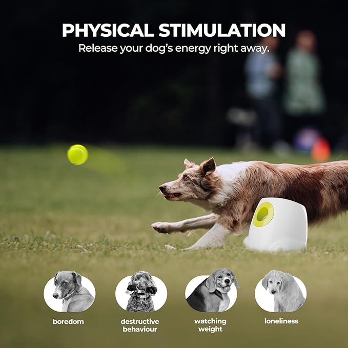 ALL FOR PAWS Automatic Dog Ball Launcher for Medium to Large Dogs, Interactive