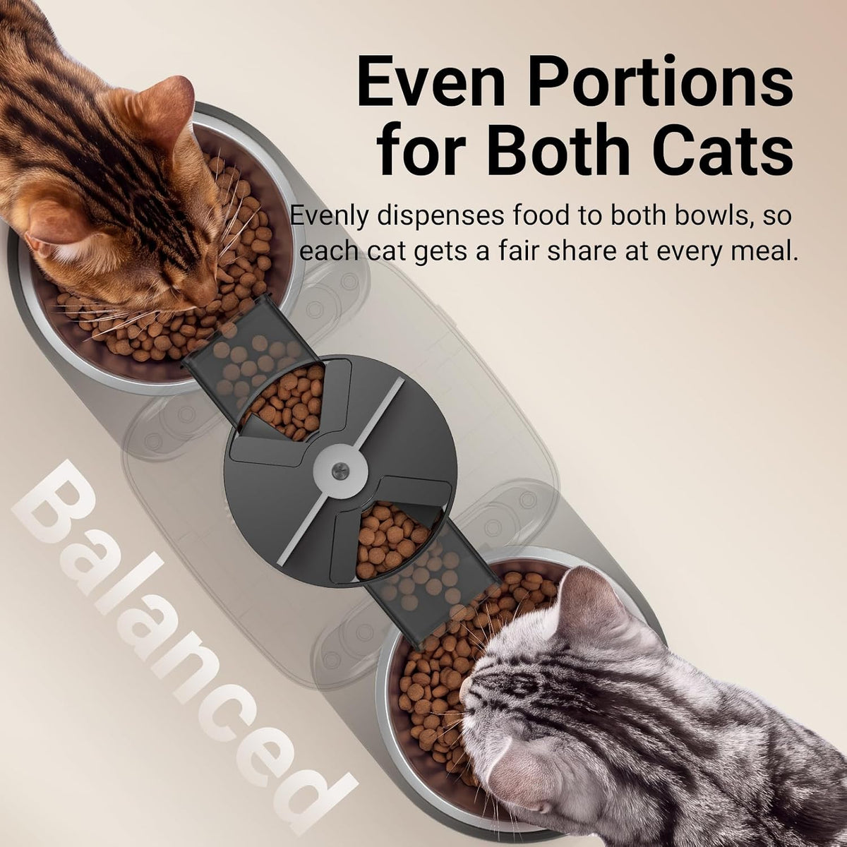 DownyPaws Automatic Cat Feeder 2 Cats, Rechargeable Timed Food Dispenser BK