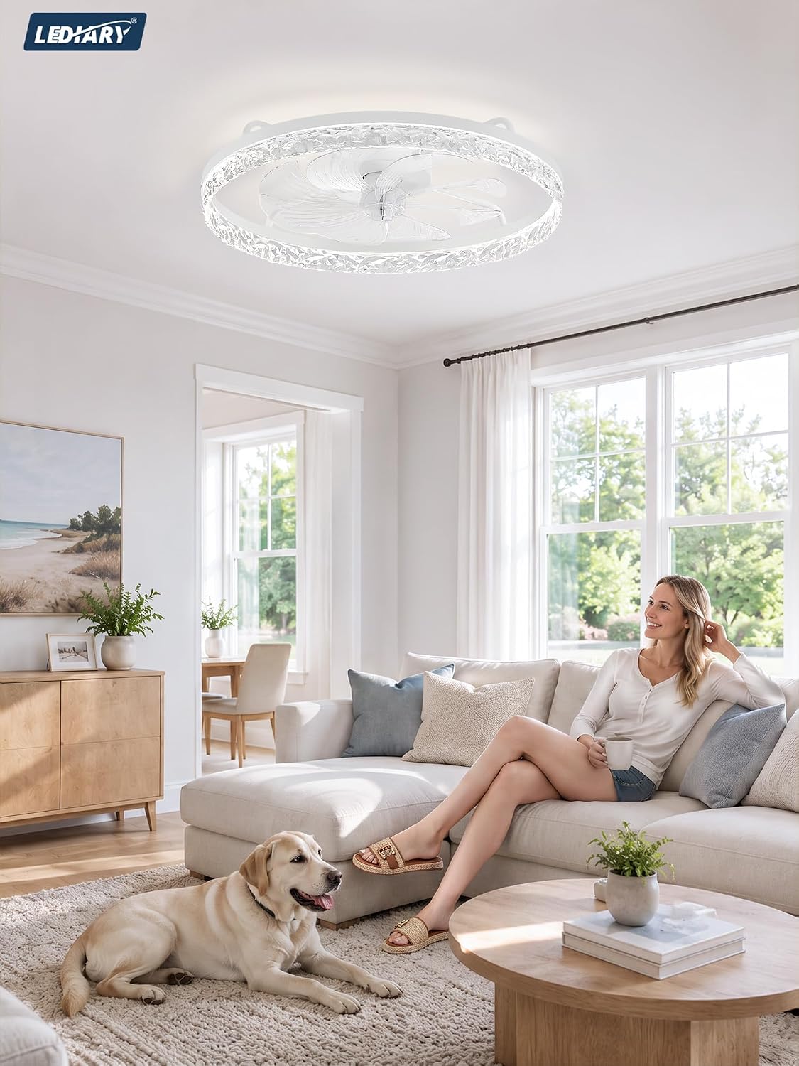 LEDIARY 24" Low Profile Ceiling Fans with Light and Remote, Fandelier White