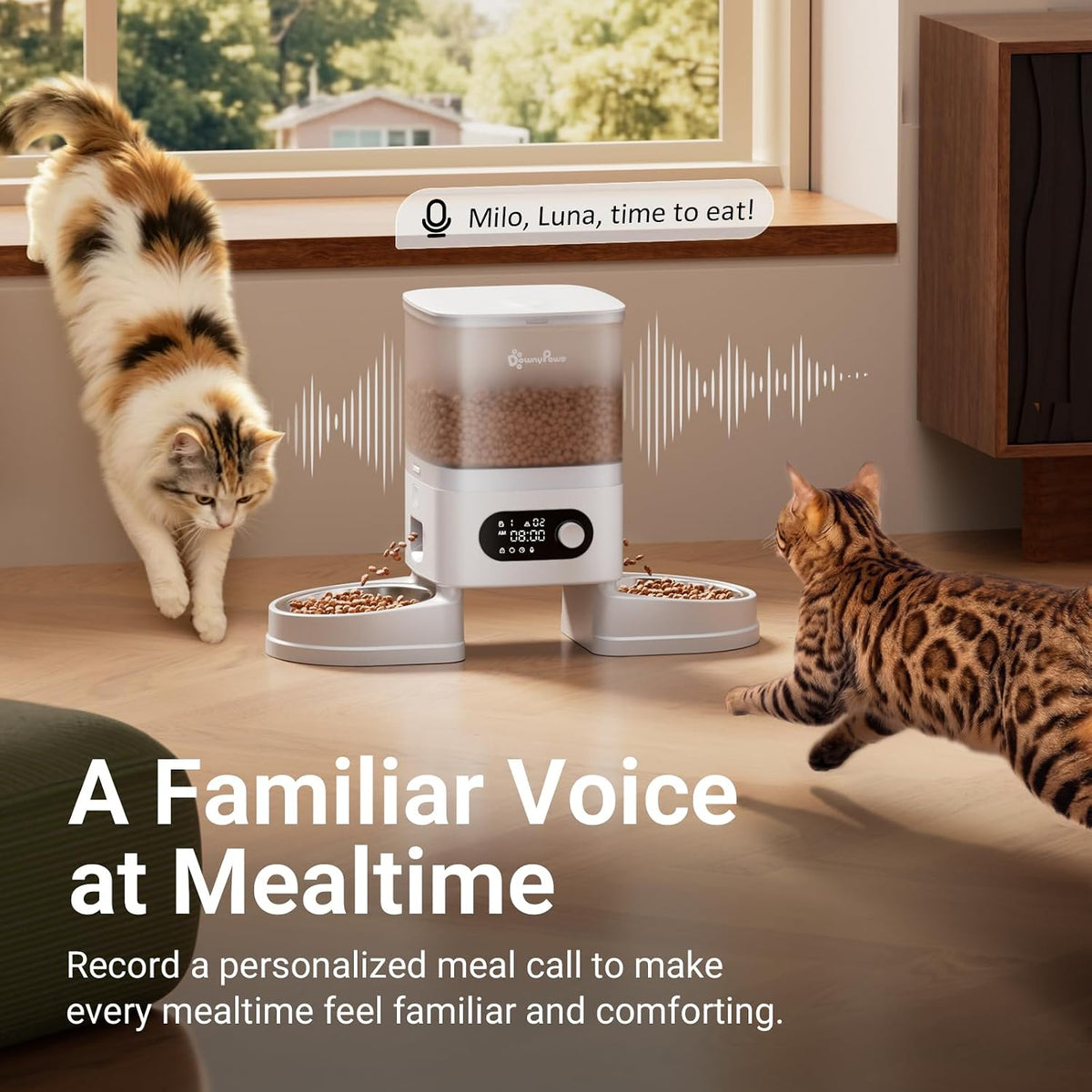 DownyPaws Automatic Cat Feeder 2 Cats, Rechargeable Timed Food Dispenser WH