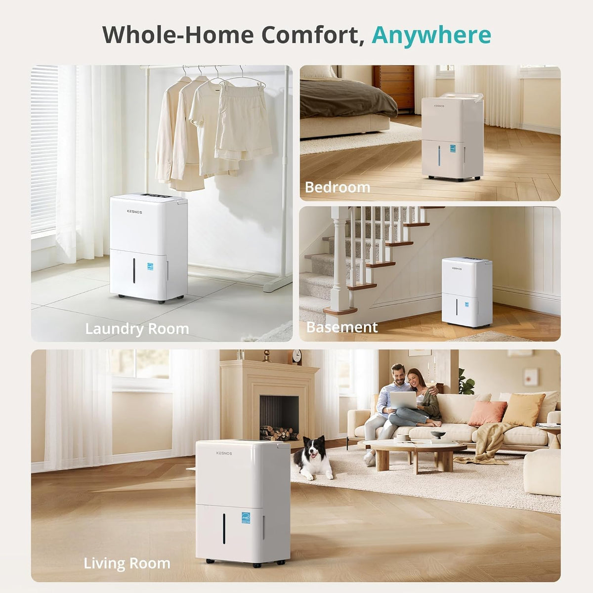 Kesnos 2,500 Sq. Ft. Energy Star Dehumidifier for Basement with Drain Hose