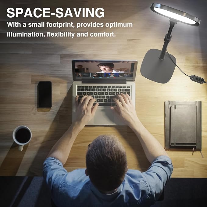 LitONES 2Pcs Desktop Video Conference Lighting