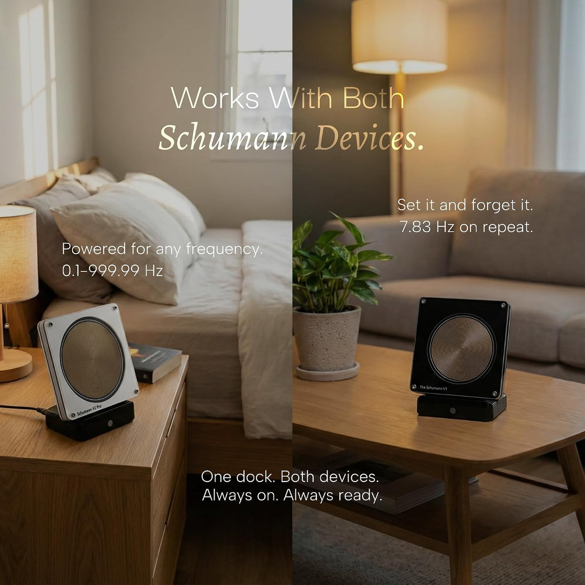 The Schumann Frequency Generator Charging Station