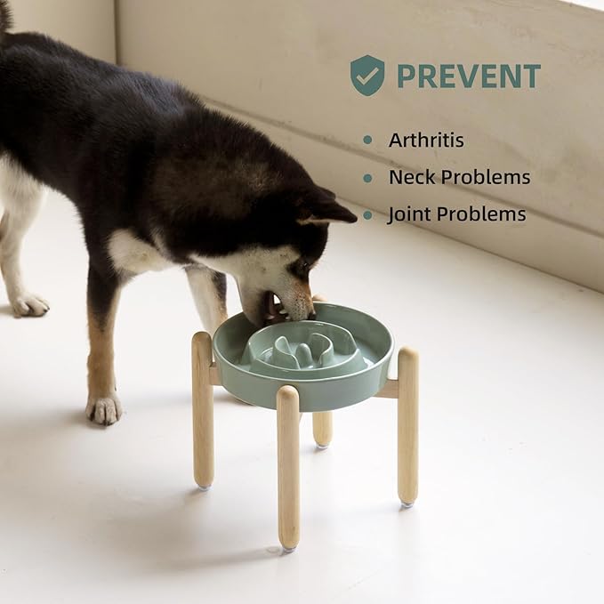 Ceramic 1.6 Cup Raised Slow Feeder Dog Bowl Set, Elevated Wooden Stand