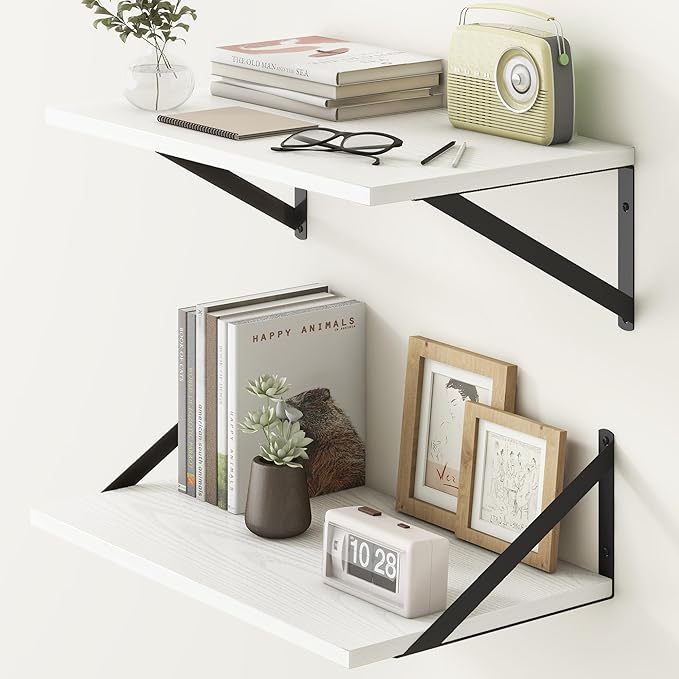 Fun Memories 20 Inch Floating Shelves (Set of 2)