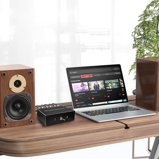 2-Way Audio Switcher Can Support Two Amplifiers, One Audio or One Amplifier