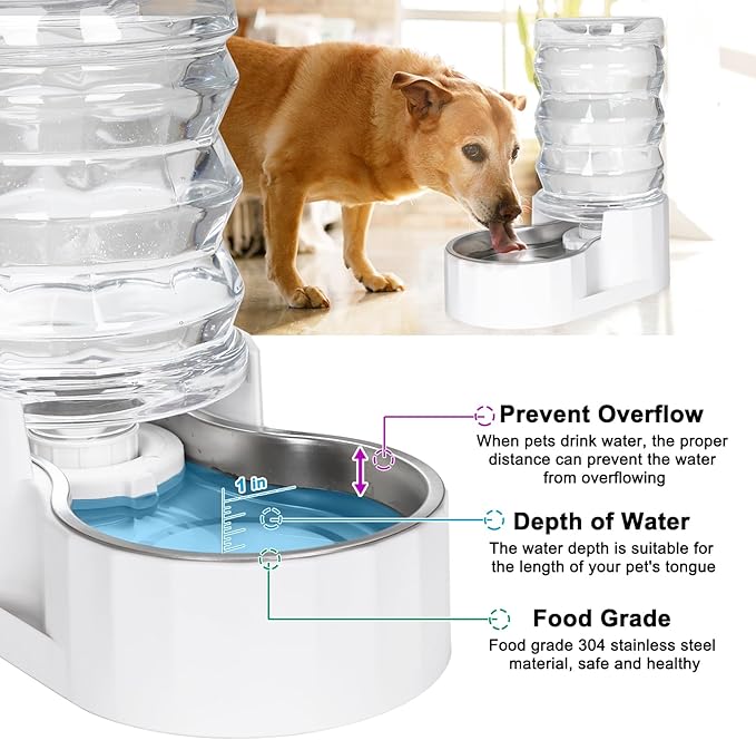 RIZZARI Automatic Gravity Pet Dispenser: 6.5L Large Capacity -No Power Needed