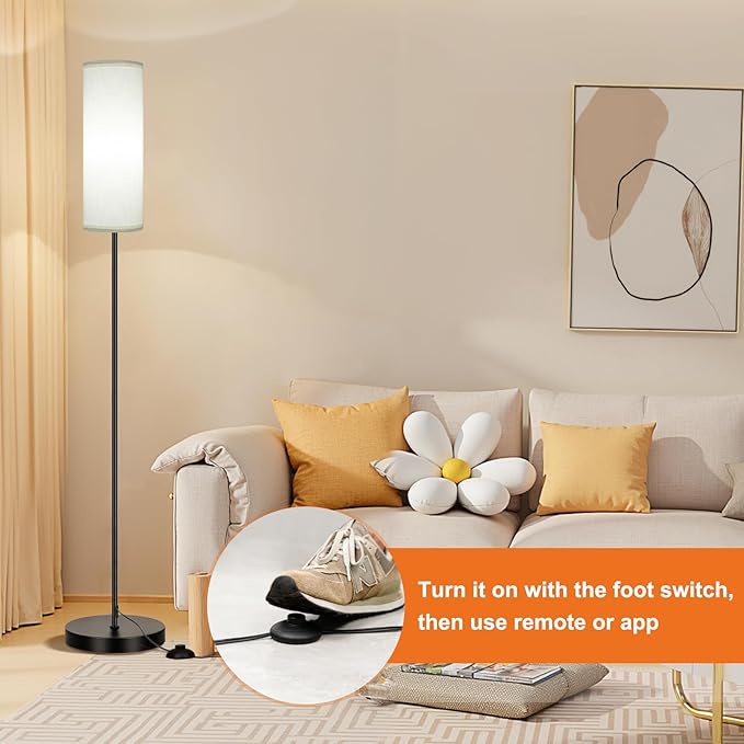 FRIDEKO HOME Floor Lamp, Color Changing Ambient Lighting