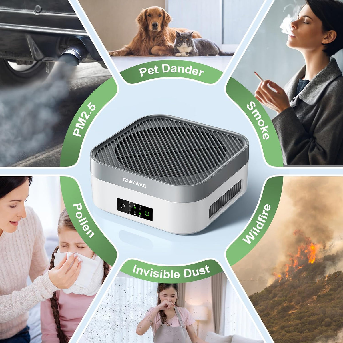 Air Purifier for Home – True HEPA Filter for Pets,Smoke & Allergies