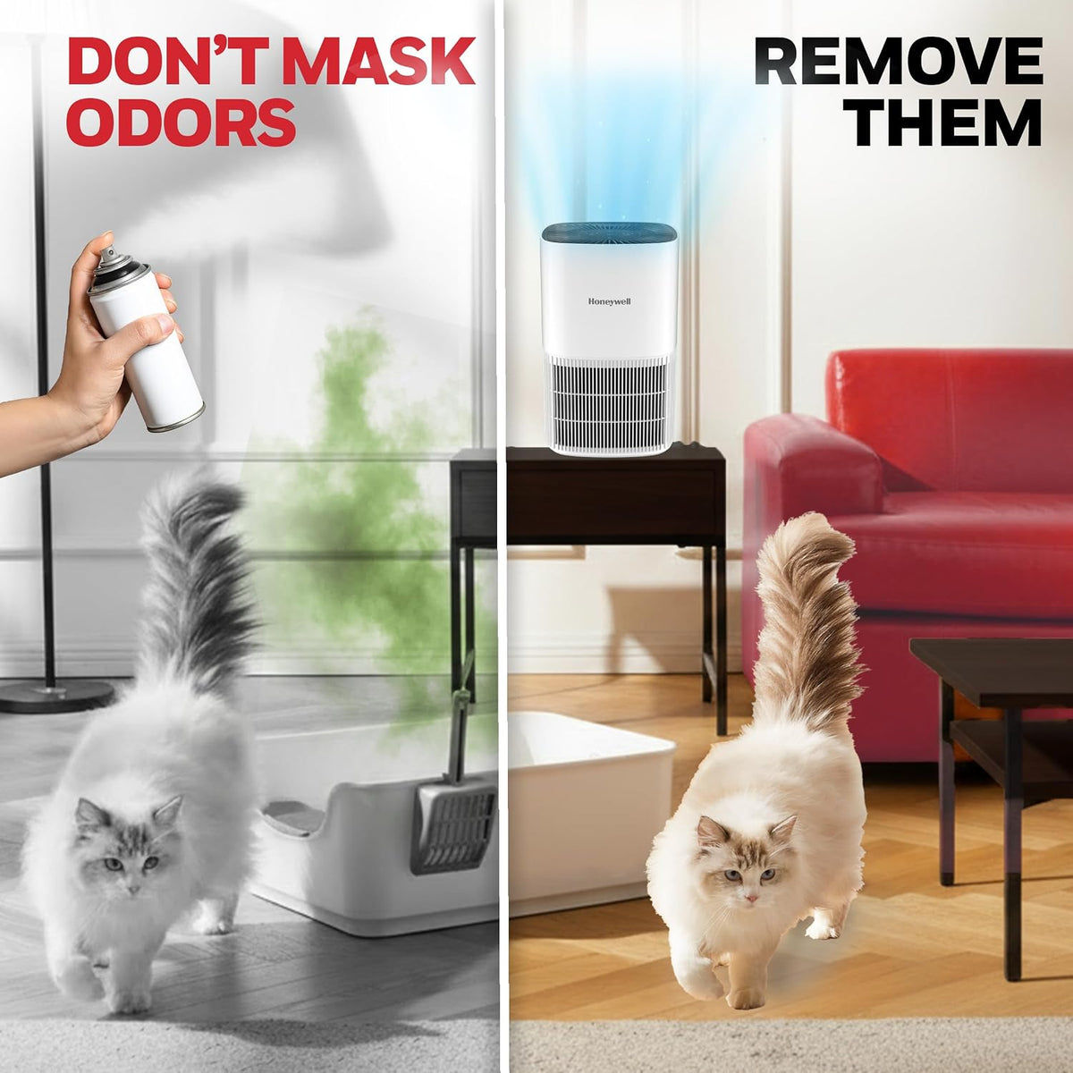 Honeywell Allergen Plus Compact Small Room HEPA Air Purifiers for Home