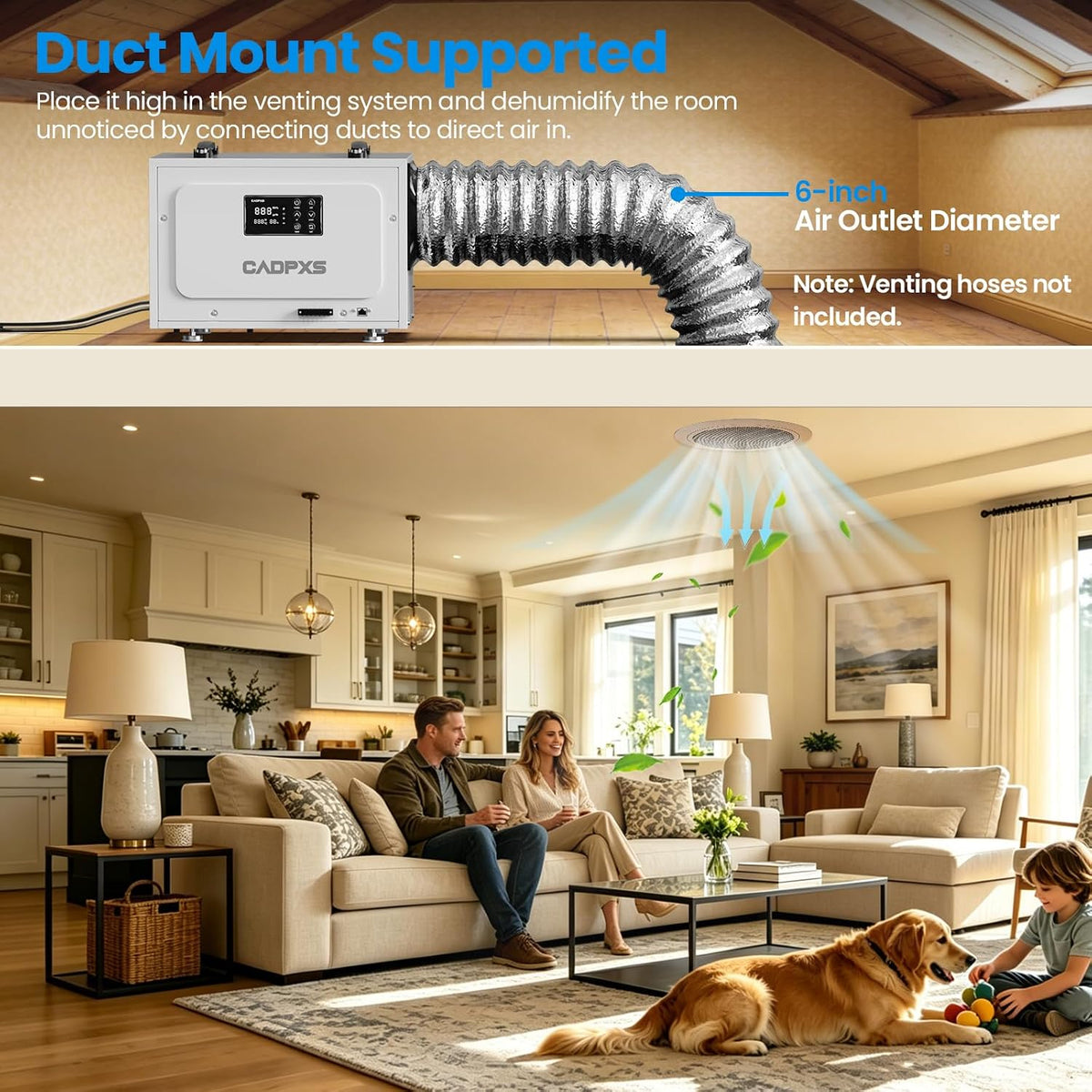CADPXS 125 Pints Crawl Space Dehumidifier, Commercial Dehu with Drain Hose