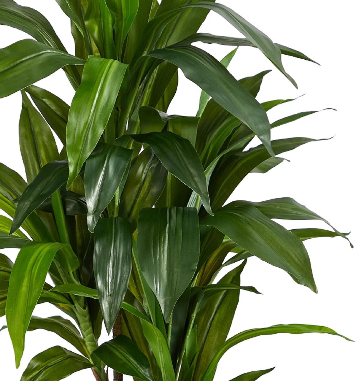 Nearly Natural 48 in Artificial Dracaena Real Touch Plant with Pot