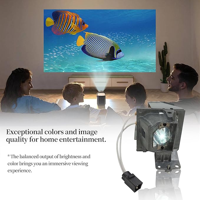 SORNEICDR NP36LP Replacement Projector Lamp Bulb Compatible