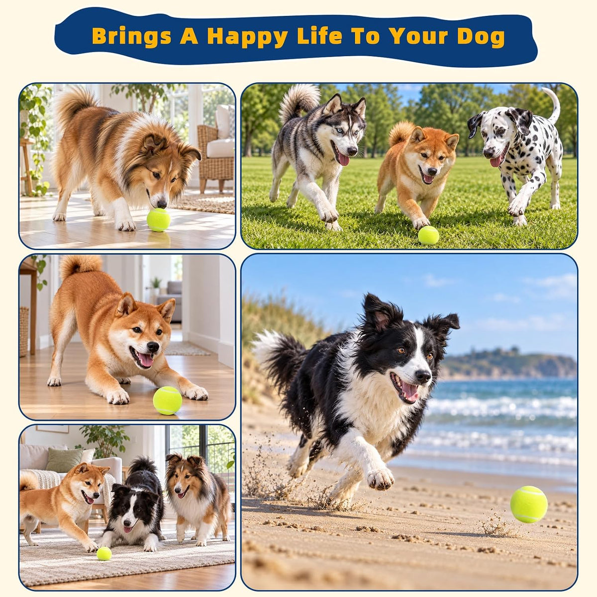 SHYUJAJIE Dog Balls,36 Pack 2.5 inch Tennis Balls for Dogs
